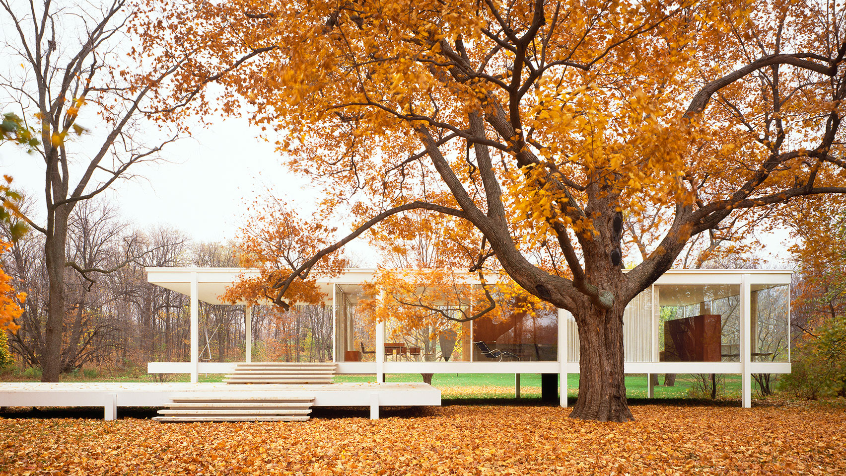 Casa Farnsworth entre árboles en otoño