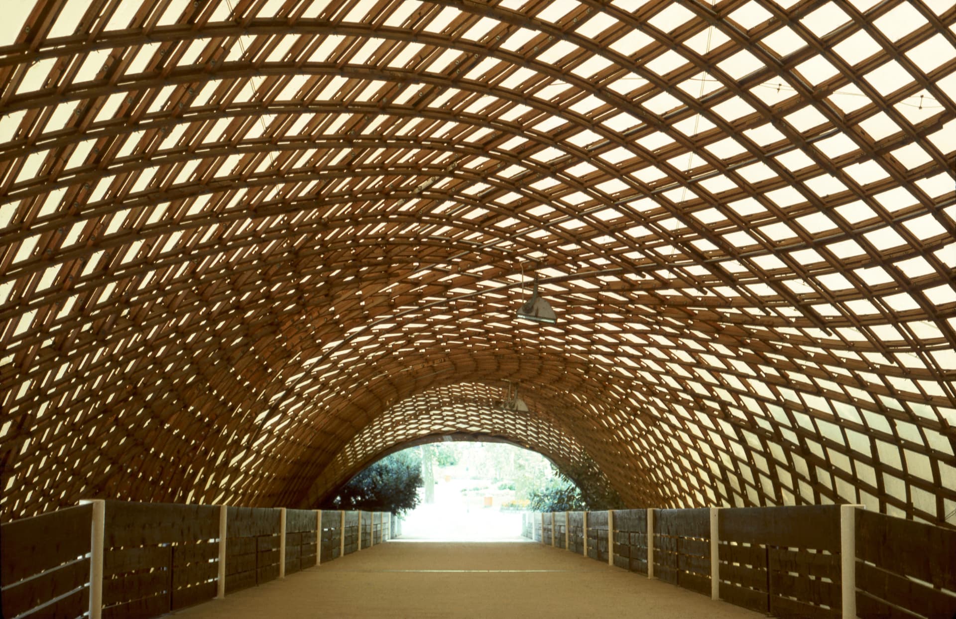 Interior del Multihalle de Mannheim bajo una gran bóveda reticulada de madera